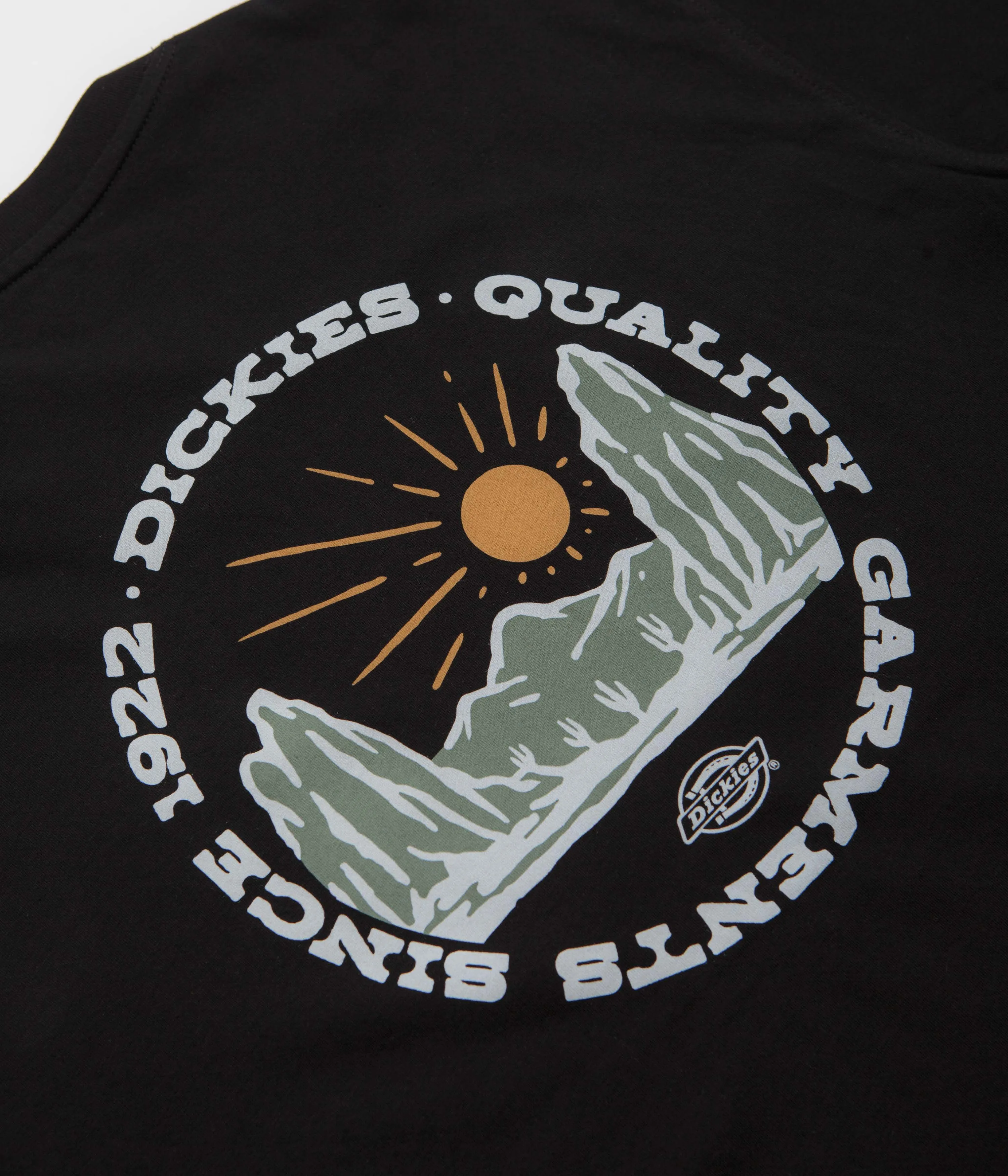 Dickies Dickies Outdoor T-Shirt - Black