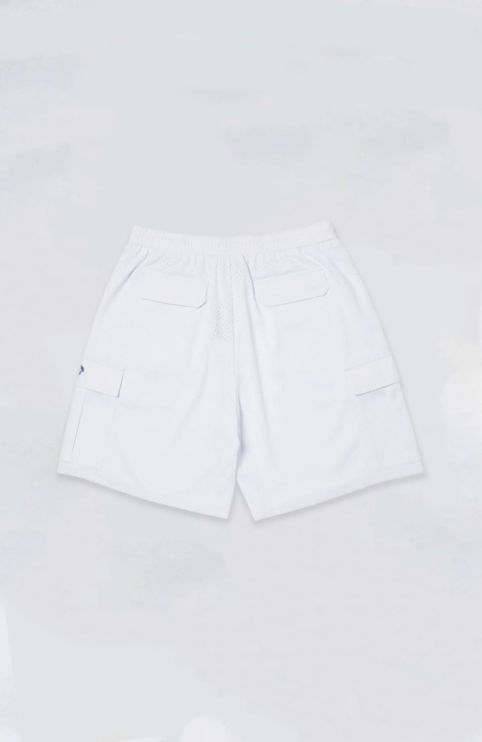 HUF - Arch Mesh Cargo Short