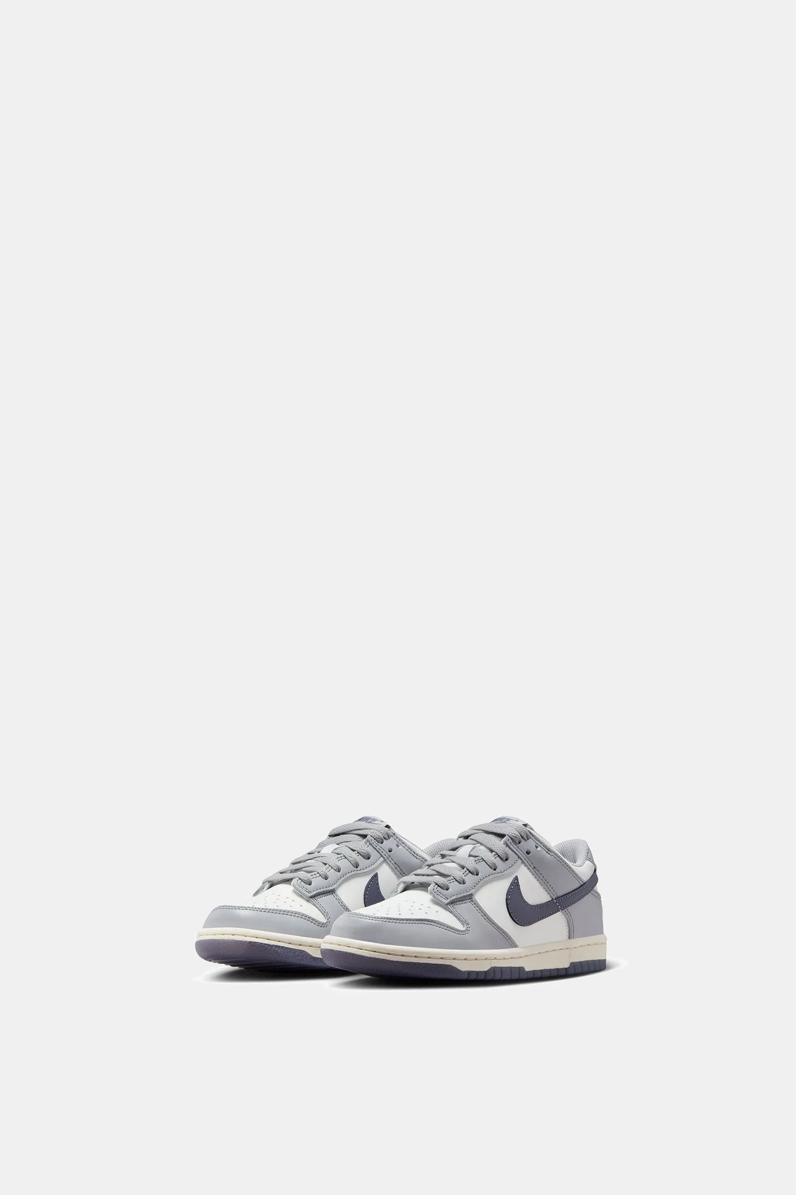 Nike Dunk Low (GS)
