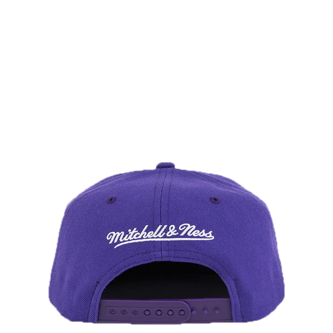 TORONTO RAPTORS HARDWOOD CLASSIC SNAPBACK PURPLE
